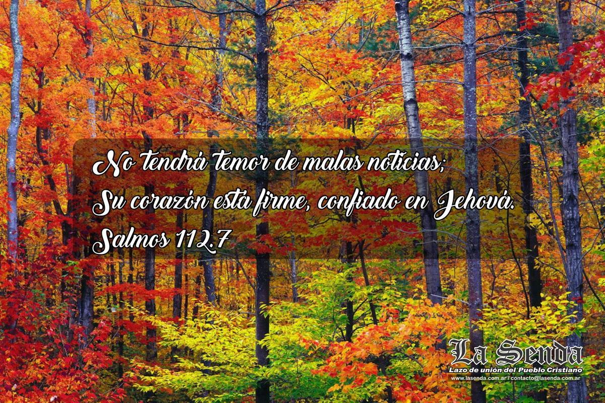 imagen-02 resize